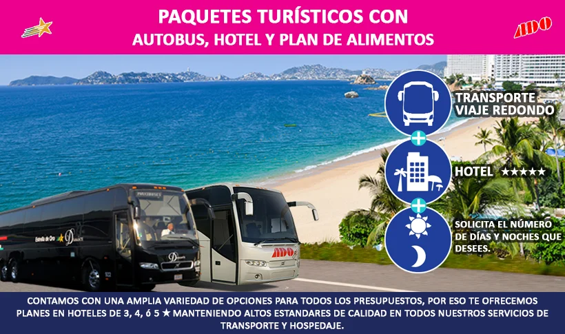 Paquetes Hotel Autobus